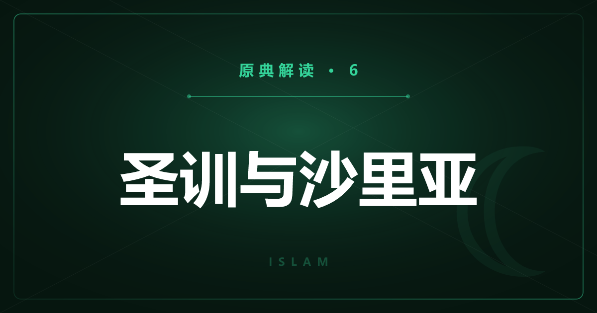 伊斯兰教原典⑥：圣训与沙里亚、逊尼与什叶