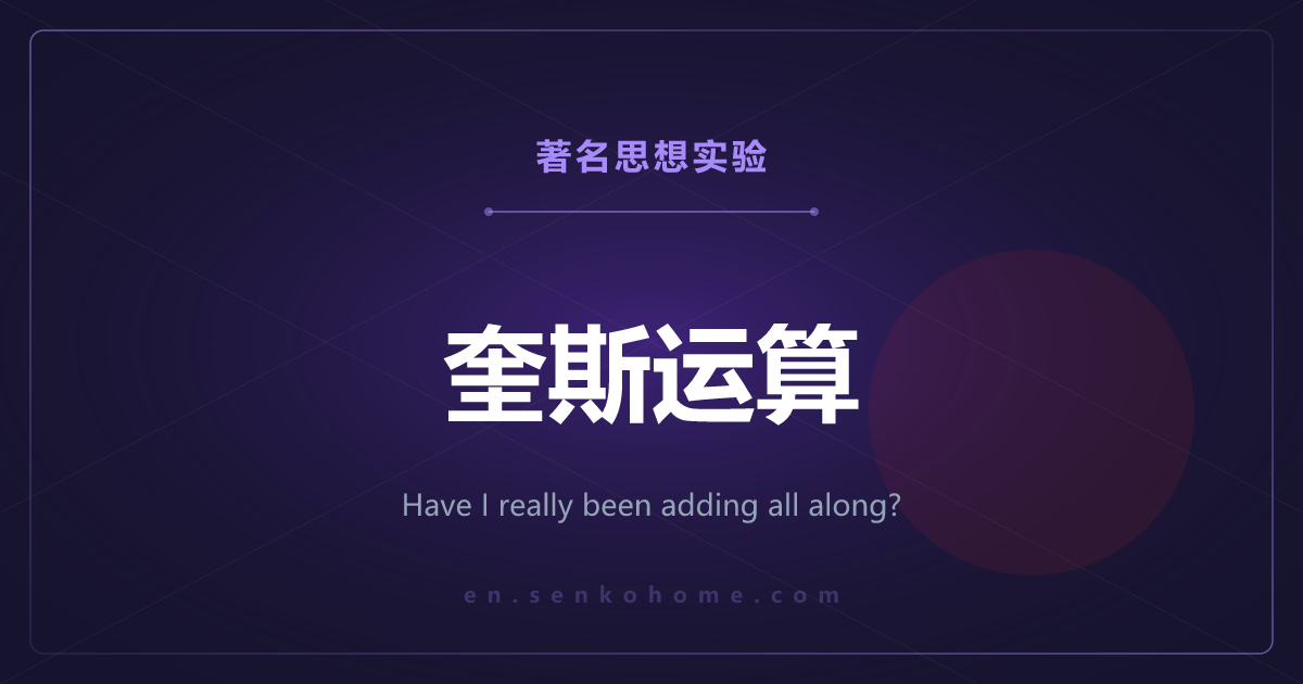 奎斯运算——我真的一直在做加法吗